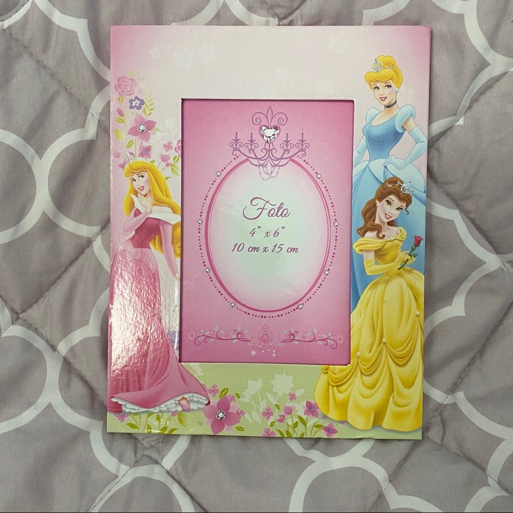 Disney princess picture frame